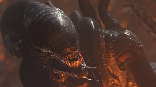 Alien: Ramuls are searching for new director such as fad-alvravels retreated
