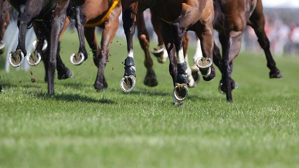 Horse in Lancaster County euthanized after highly contagious disease discovered in Pennsylvania.
