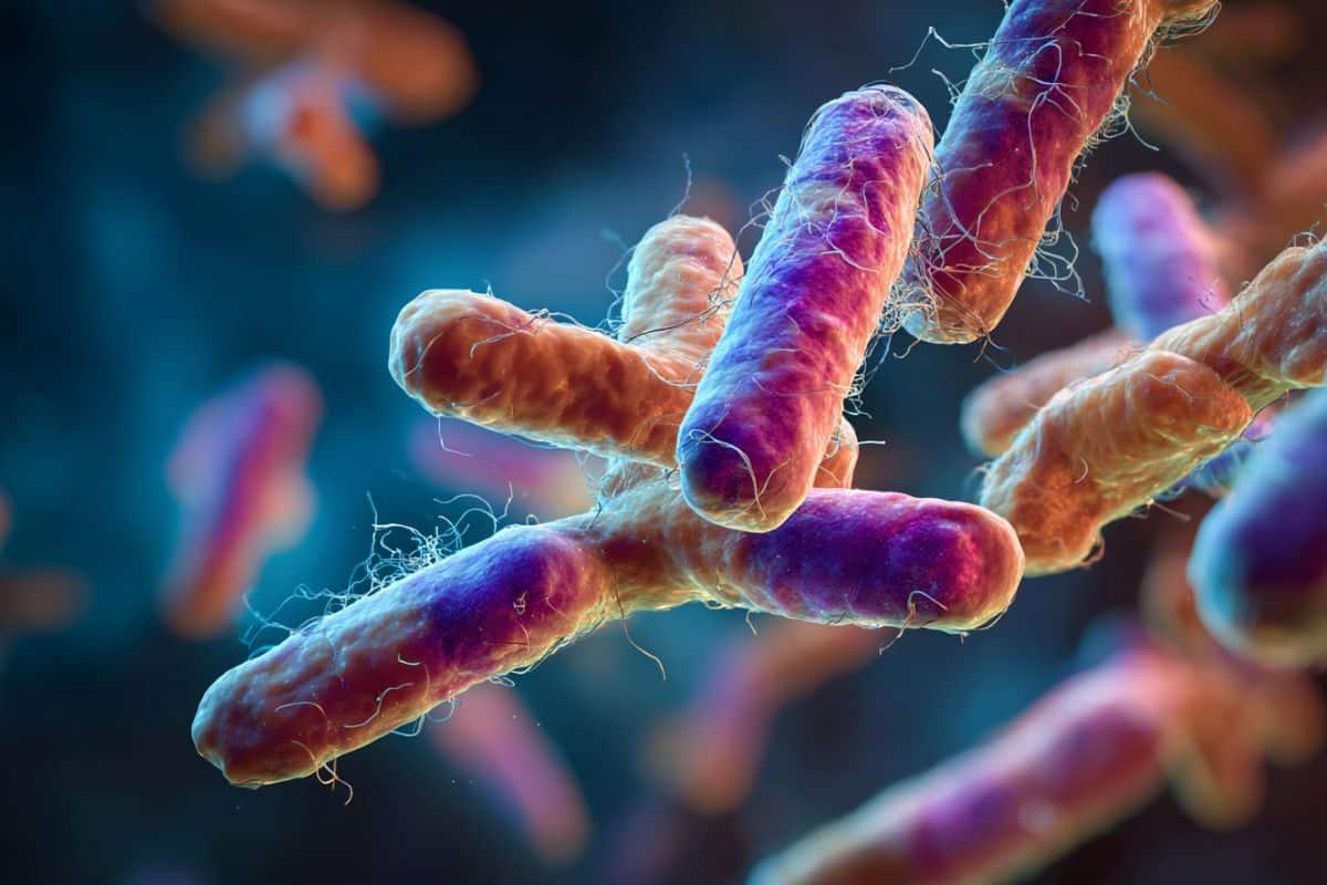 Does Your Oral Bacteria Affect Multiple Sclerosis?- Neuroscience News